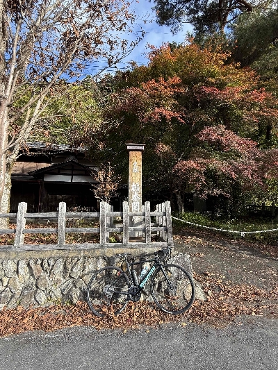 Photo from 2024/11/9