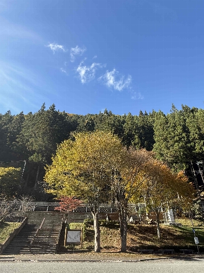 Photo from 2024/11/10