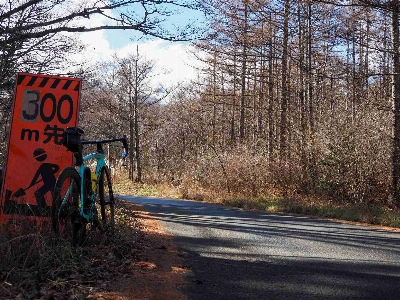 Photo from 2024/11/24