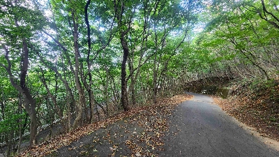 Photo from 2024/8/13