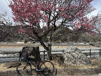 Photo from 2025/2/22