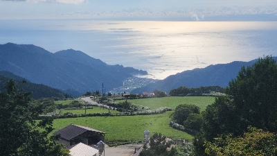 Photo from 2023/8/26