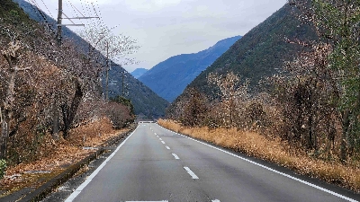 Photo from 2025/1/19