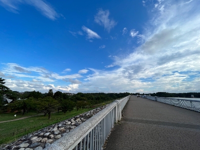 Photo from 2023/8/16