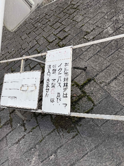 Photo from 2024/12/22