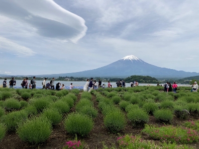 Photo from 2023/5/28