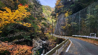 Photo from 2025/11/24