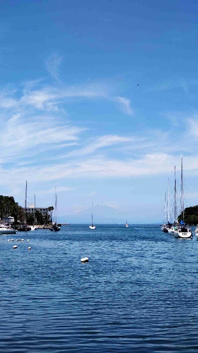 Photo from 2024/6/15