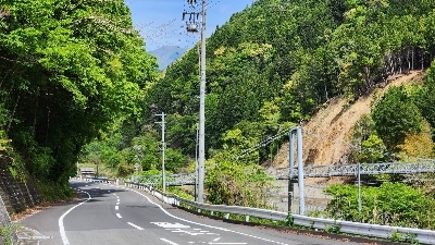 Photo from 2023/4/29