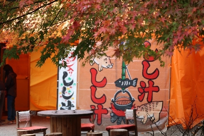 Photo from 2023/11/5