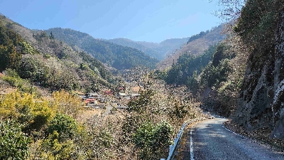 Photo from 2024/3/16