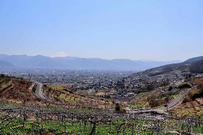 Photo from 2025/3/23