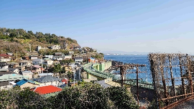 Photo from 2025/3/25