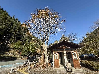 Photo from 2024/11/10