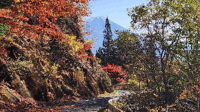 Photo from 2025/11/7