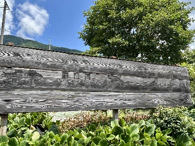 Photo from 2025/7/13