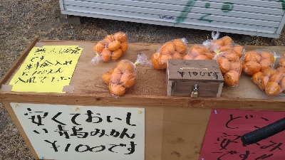 Photo from 2021/1/22