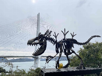 Photo from 2024/10/31