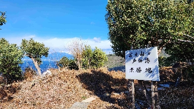 Photo from 2024/1/24