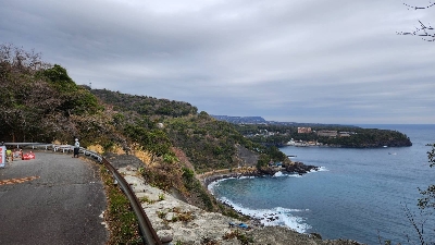 Photo from 2024/2/17