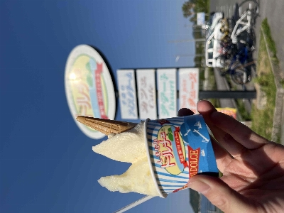 Photo from 2024/5/10