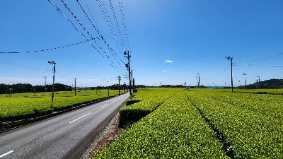 Photo from 2023/4/16