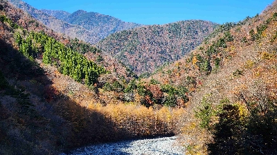 Photo from 2024/11/21