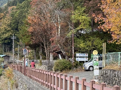 Photo from 2024/11/10