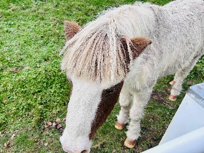 Photo from 2025/10/12