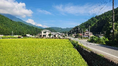 Photo from 2025/8/20