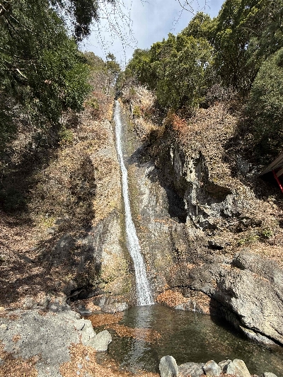 Photo from 2024/12/22