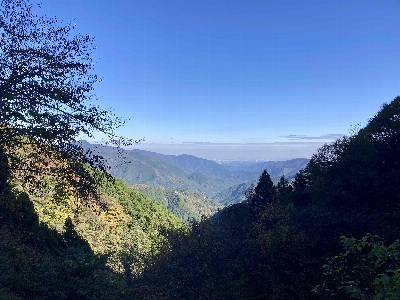 Photo from 2024/11/9