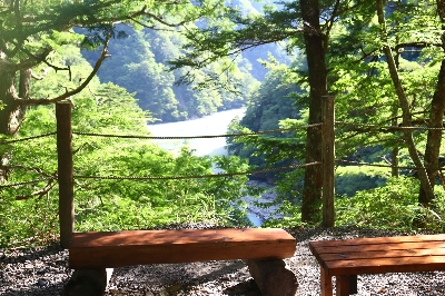 Photo from 2025/7/26