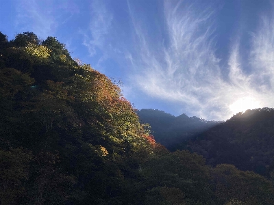 Photo from 2024/11/10