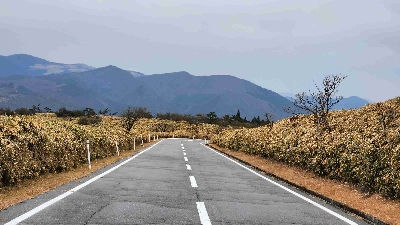 Photo from 2025/12/3