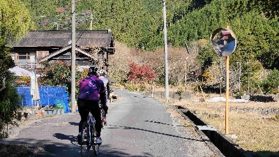 Photo from 2023/12/3