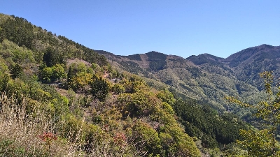 Photo from 2021/4/26