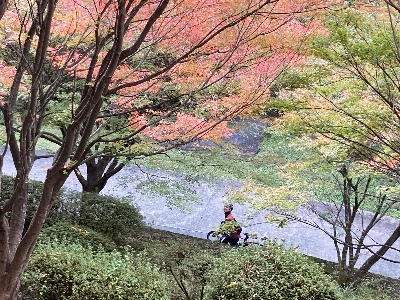 Photo from 2024/11/10