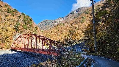 Photo from 2024/11/21