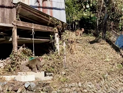 Photo from 2024/11/9