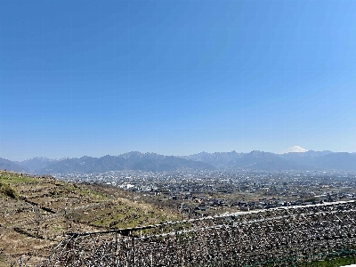 Photo from 2025/3/22