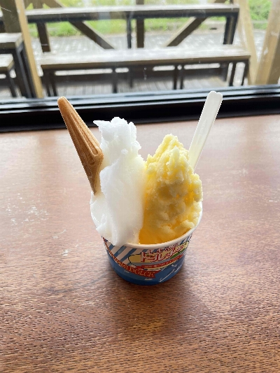 Photo from 2024/10/31