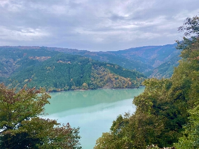 Photo from 2024/11/16