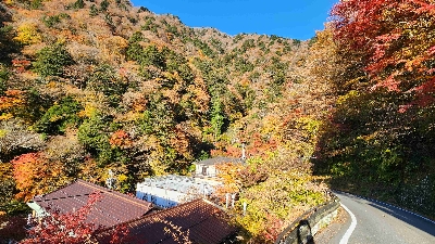 Photo from 2025/11/16