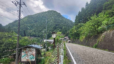 Photo from 2024/8/10