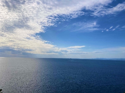 Photo from 2023/11/12