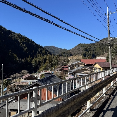 Photo from 2024/12/29