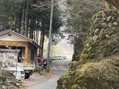 Photo from 2024/12/22