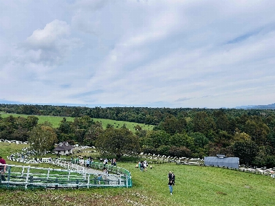 Photo from 2025/10/12