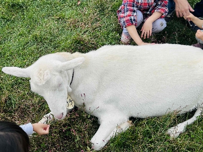 Photo from 2025/10/12